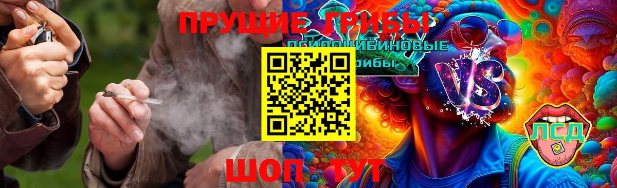 Галлюциногенные грибы GOLDEN TEACHER  Вход с VPN  Советский 