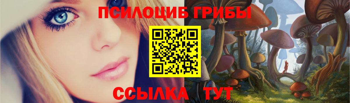Галлюциногенные грибы прущие грибы Советский